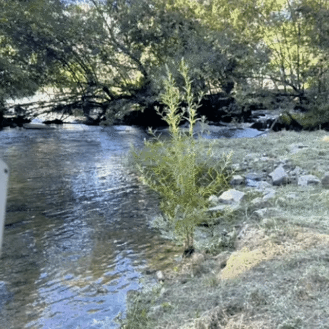 Clear cam® | Fiskkamera med LED-skärm
