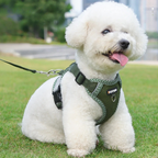 Hundsele Duomm®