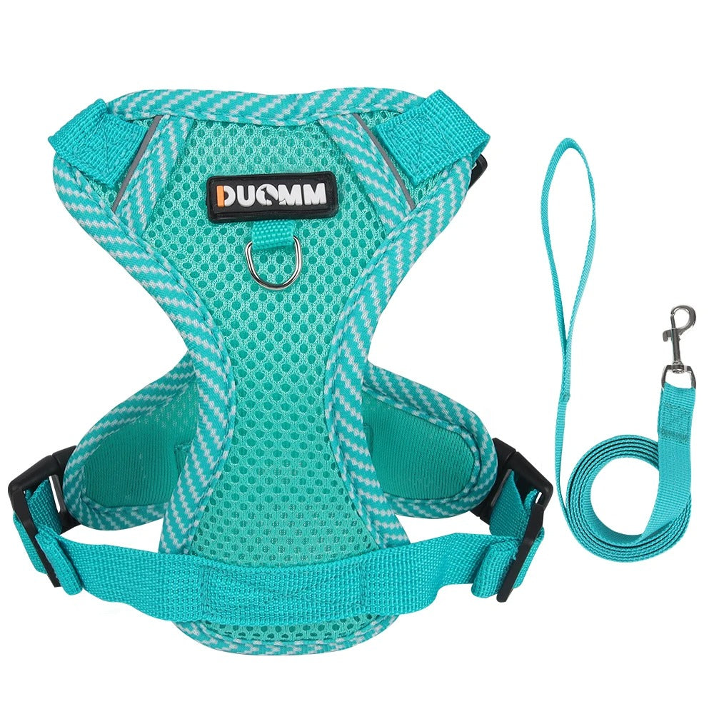 Hundsele Duomm®