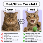 TassJakt™ – Aktiv lek på din katts villkor