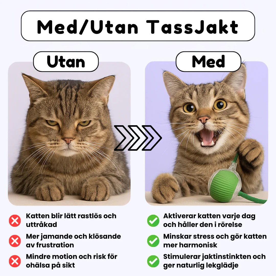 TassJakt™ – Aktiv lek på din katts villkor